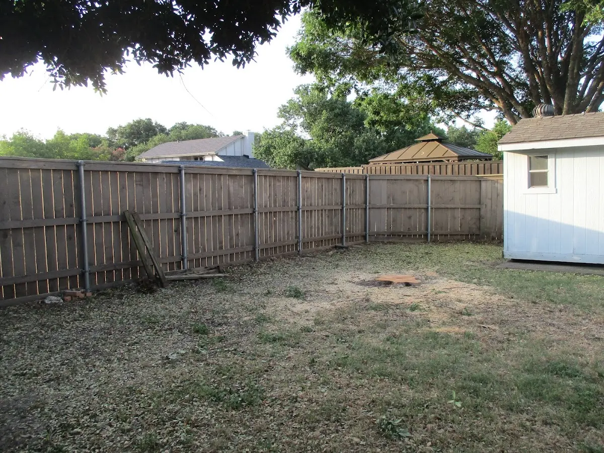 Cleared yard after professional tree removal in New Berlin