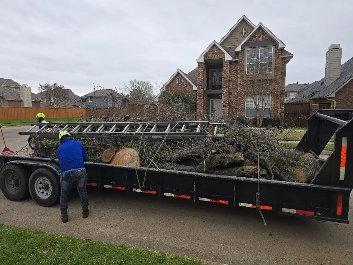 Expert Lot Clearing with proper safety equipment in New Berlin